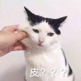 单名一个辉