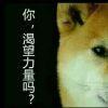 饮食男