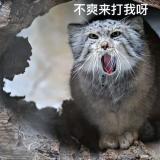 一种走漏的风