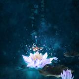 就是来找茬的