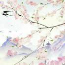 虐猫狂魔薛定谔