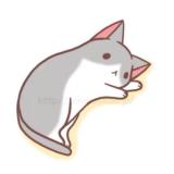 友友