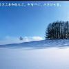 不知道为什么？