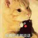 林涛