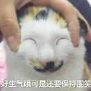 月黑风高……