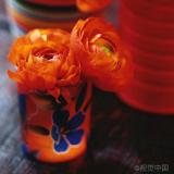 荥寒月