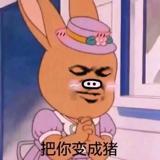 书友25409