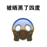 猫小九