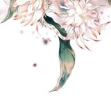 秋庭落