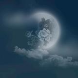 潇湘☆残影