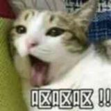 抹森