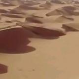 風泠lin