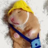 ╭ 映在你眼中的我↣是怎样的颜色