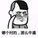 宇宙超级无敌大熊猫