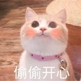 人活着就是为了开心