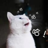 〆﹏森陌、夏栀╮