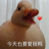 红桃k
