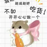 一路向北
