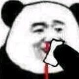 不长记性
