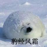 UC玩友