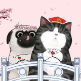 北城南笙