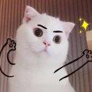 璇璇酱·