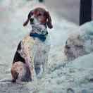 你最好了对不对