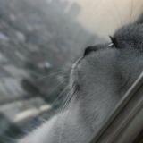 从不回头看爆炸