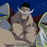 某些人的野爹