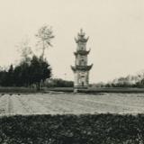 ailuoli