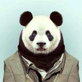 贫僧法号劫个色
