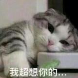 君焰
