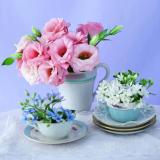 菱花湛露