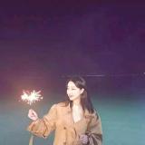 第九片海