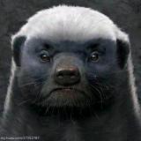 ゞ壹人の獨荇ゞ