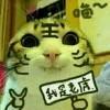 书友83431