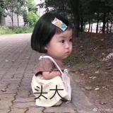 咸鱼一只