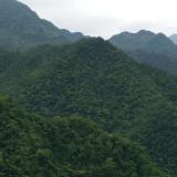 天黑路凉你别狂