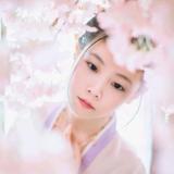 淡若袅轻烟