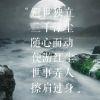 枫林残忆