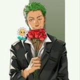 索隆绿草头