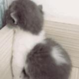 呔我是你爷爷