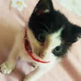 阳光透过树叶落在手上