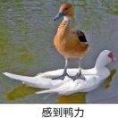 就问你怕不怕