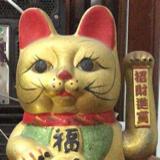 夜色第九章