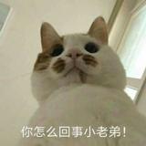 东风丶碎
