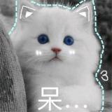 朝麟