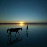 夜空下的牧马人