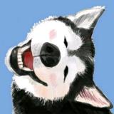 风之羁绊