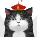 罗子旭  13676721586